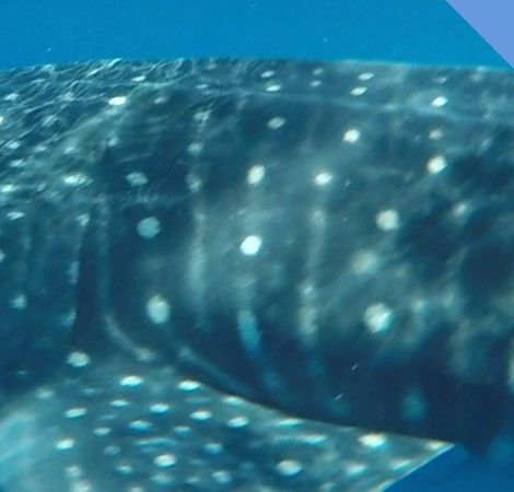 18f8ce7e-cdc1-448a-ac4e-38ecc90441c2