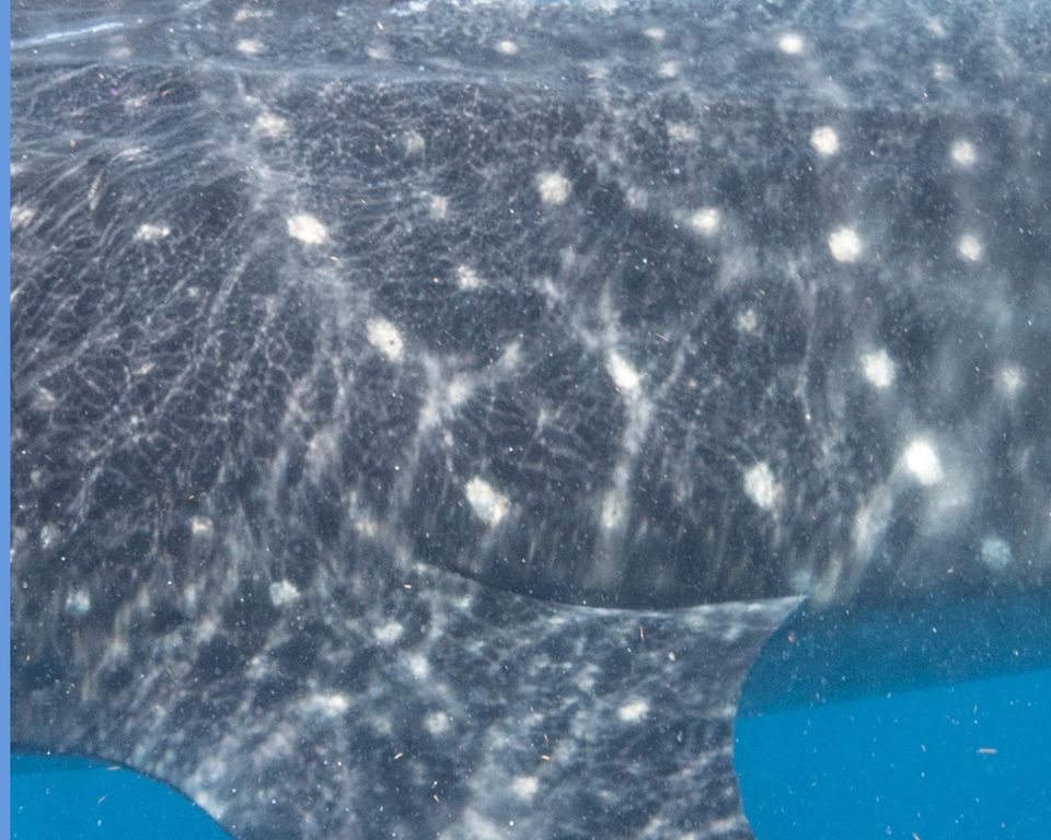 076c548f-14ff-4bc1-860f-74215572915f