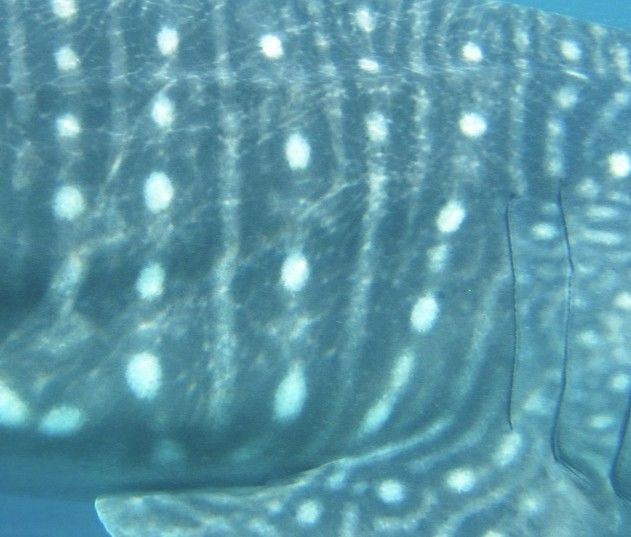 37e7ba61-f91f-4b03-a392-b636e67893a4