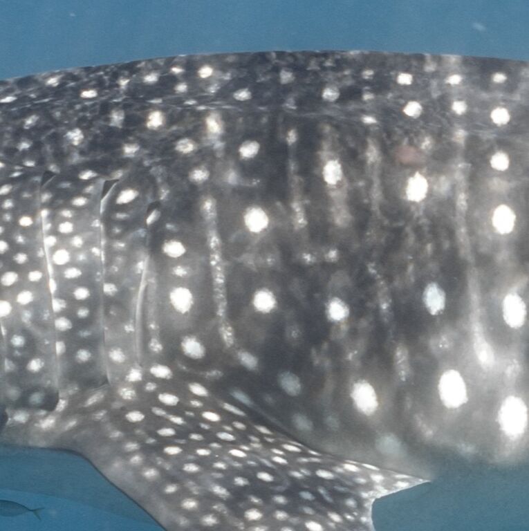 5a70d015-a2ac-4576-b348-fe1d0077b53a