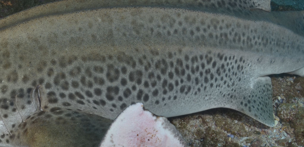 d81d38b5-1571-4844-a8f6-b479c6058481