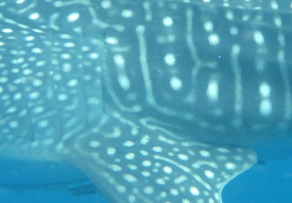 381b9b80-07ce-4c60-a85e-d006293eca50