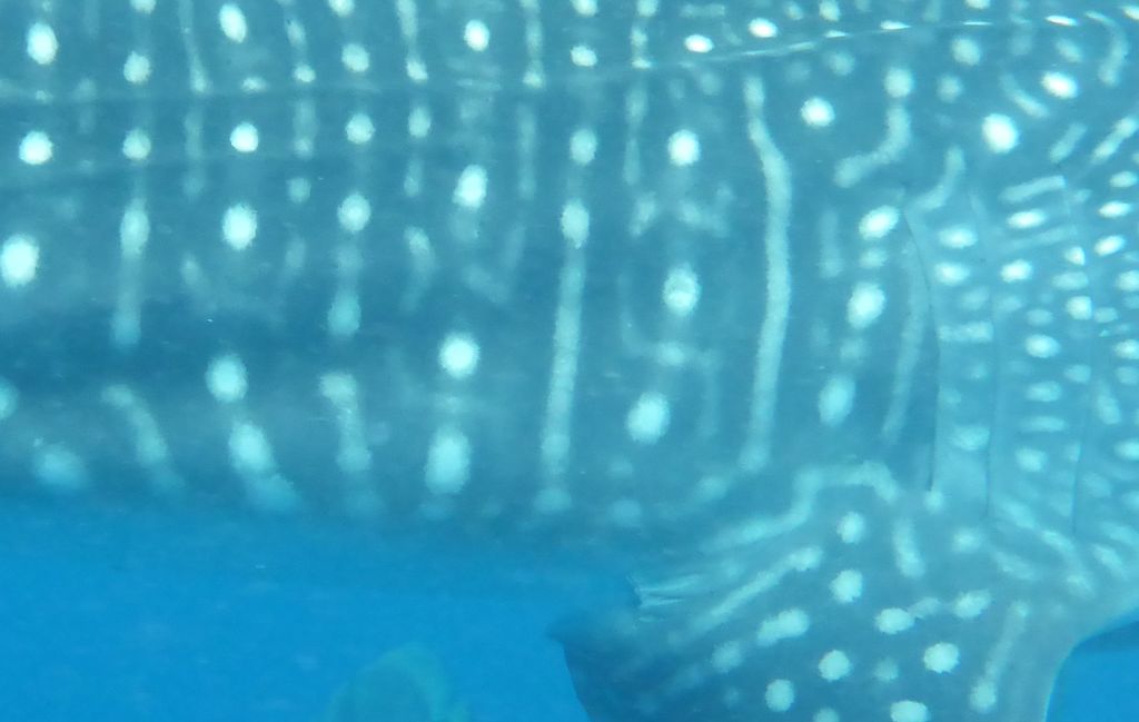 381b9b80-07ce-4c60-a85e-d006293eca50