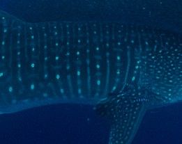 5aaea02e-4d07-4f8c-b625-22e04c6255c8