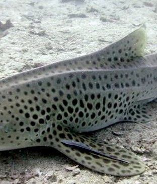 d420d647-3aba-44bd-942b-4ef8d9e335d5