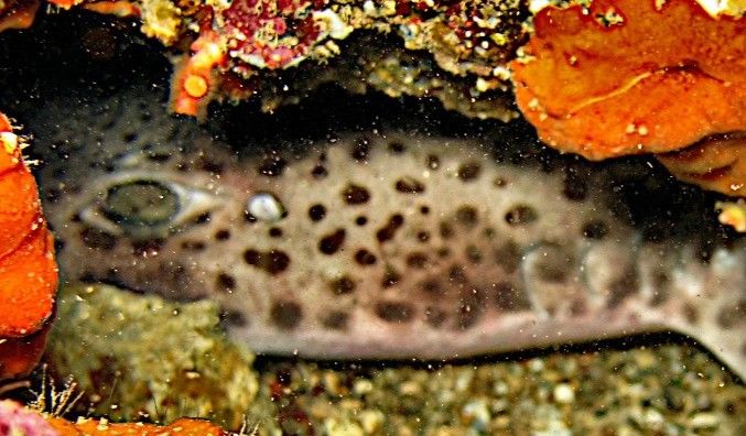 0313b90d-d1ef-46a2-8aca-804cb8fd5d96