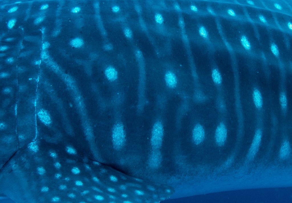 0fef457e-b94b-4836-8d0d-a5ddd59507ec