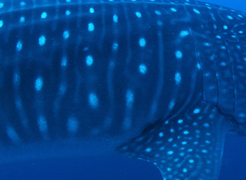 0fef457e-b94b-4836-8d0d-a5ddd59507ec