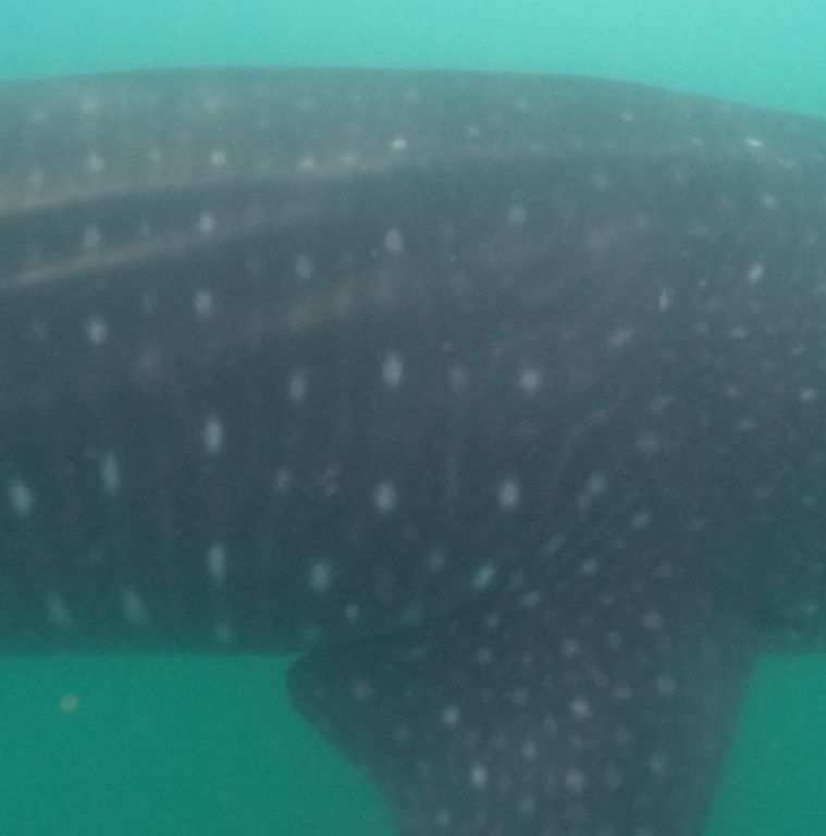 b1af3a81-a89c-4e1b-8de9-21f2d243d99c