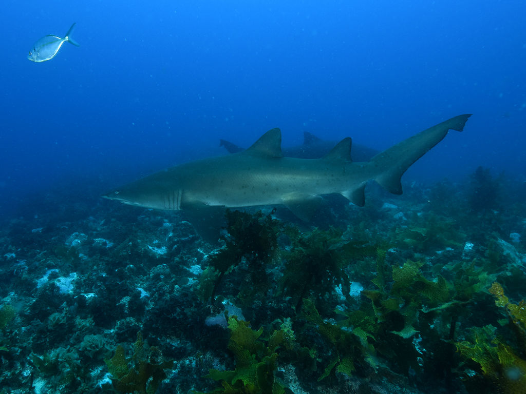 d563b574-0a2a-47d4-9d31-221020b03b8a