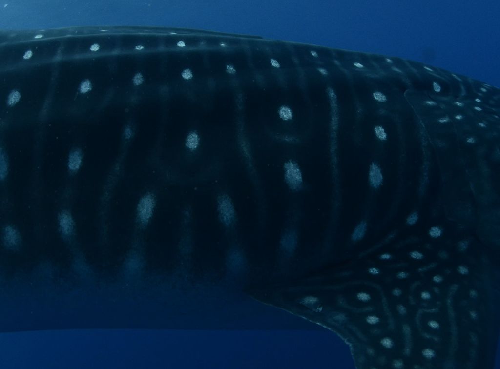 a85e9464-03df-4015-af43-6bd212d9655b