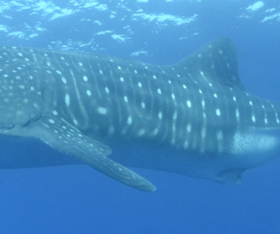 a85e9464-03df-4015-af43-6bd212d9655b