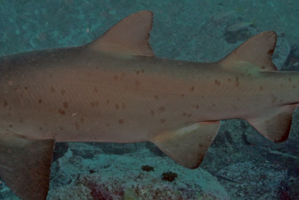 09eb9b7c-b074-462a-a517-b653b5293c8e