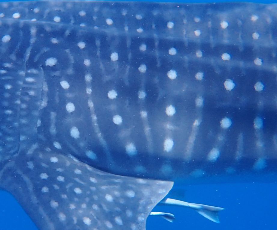 d4406d25-aed0-4166-b88c-14e609a78fb0