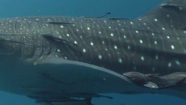 3ba8db83-f6fb-47fc-a6d4-1bc6f86d8811