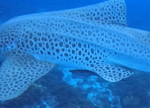 0f1ed1e1-8574-474c-8ee8-1ee029c15368