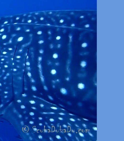 7eea9cf9-b8af-477b-b790-e8c5face8f97