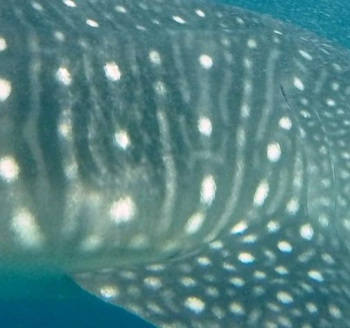 5f929311-0386-4963-a65c-8472ce6a2a3f