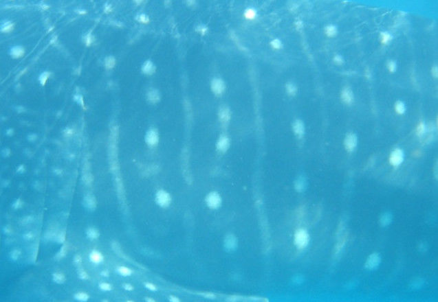 0f8b765c-aeb2-4f32-b3fe-62a639f6bf31