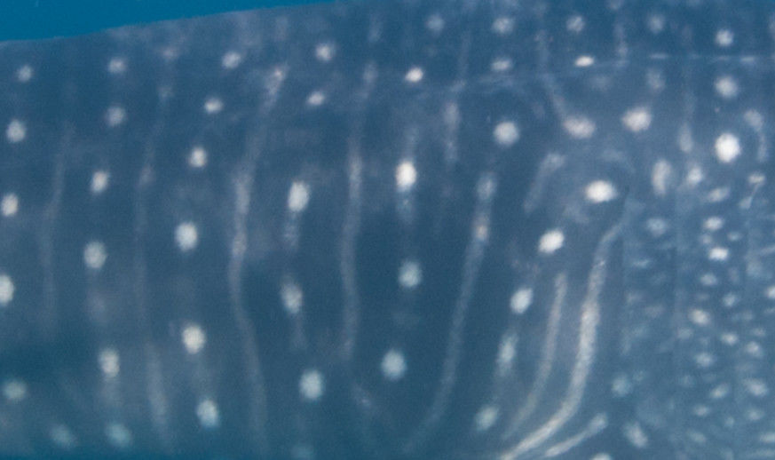 0f8b765c-aeb2-4f32-b3fe-62a639f6bf31