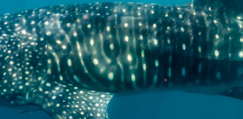 abb98030-d846-4d8a-81a3-fae3b6c7088a