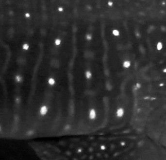 d72f4c71-09e3-4021-b74a-e3a1c6002e16