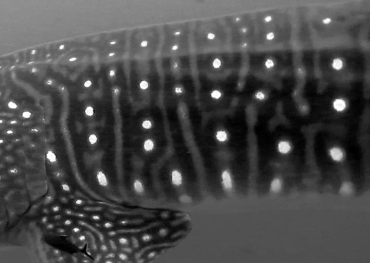 d72f4c71-09e3-4021-b74a-e3a1c6002e16