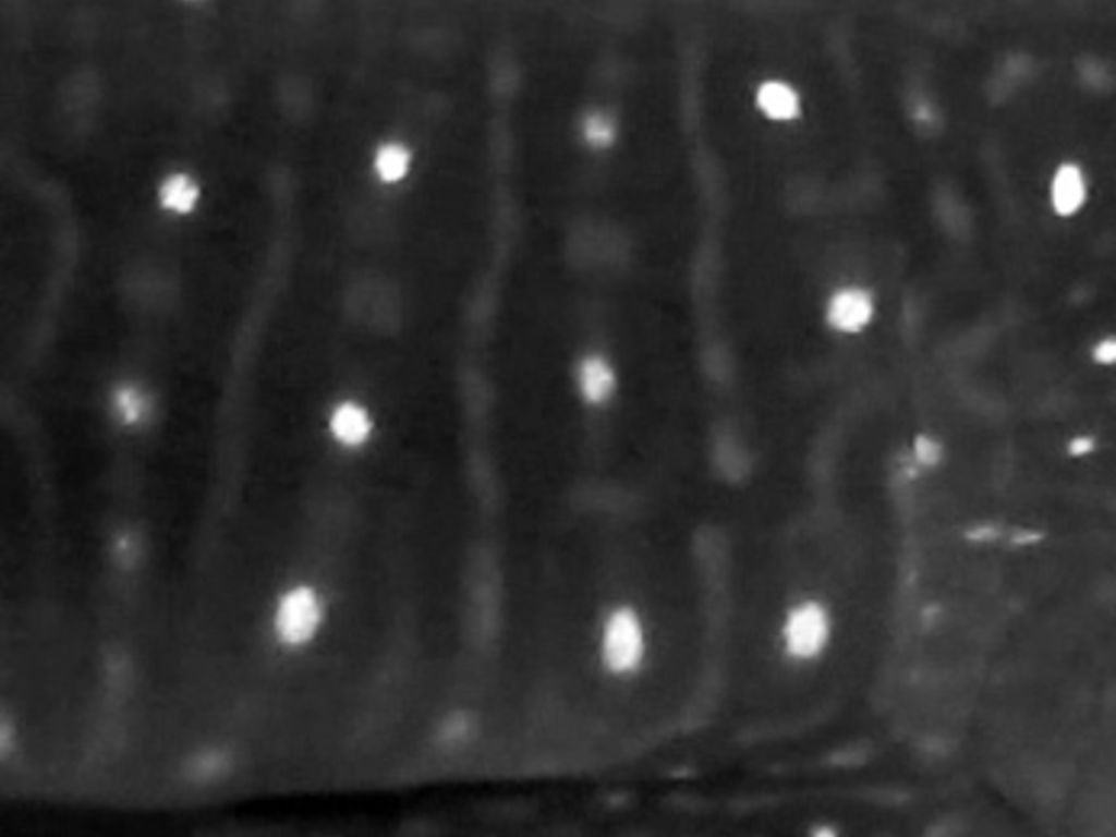 d72f4c71-09e3-4021-b74a-e3a1c6002e16