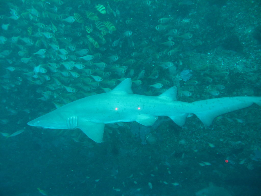 1871dc3e-c5b4-4280-8366-21d56ebd8cc3