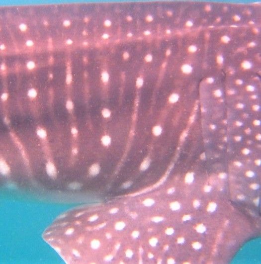 b9a14e6d-900f-40f8-adf3-a8a7e47c8cb5