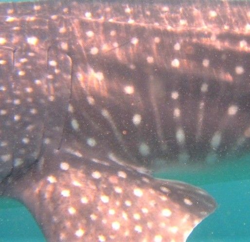 b9a14e6d-900f-40f8-adf3-a8a7e47c8cb5