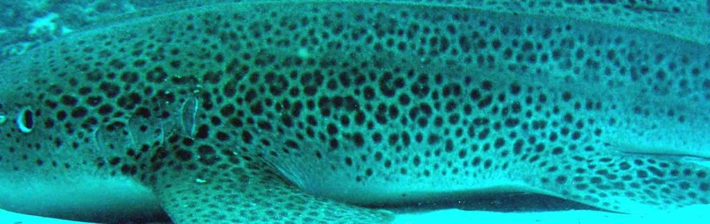 4a798a21-26df-4611-a0ca-dffd1e628e02