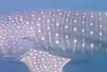 701f8e71-c7f8-4984-9f56-aa5c867b190f