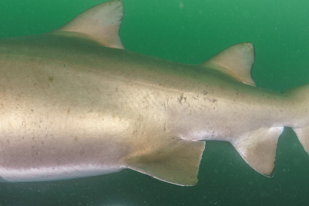 c04de693-4375-4106-b4a1-8c18853cb19e