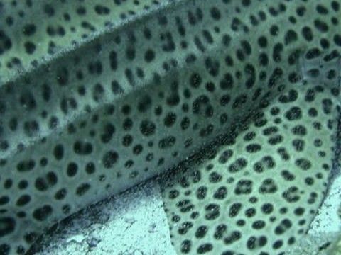 ac1a04c1-b5f9-450a-b488-94bd6f89b233