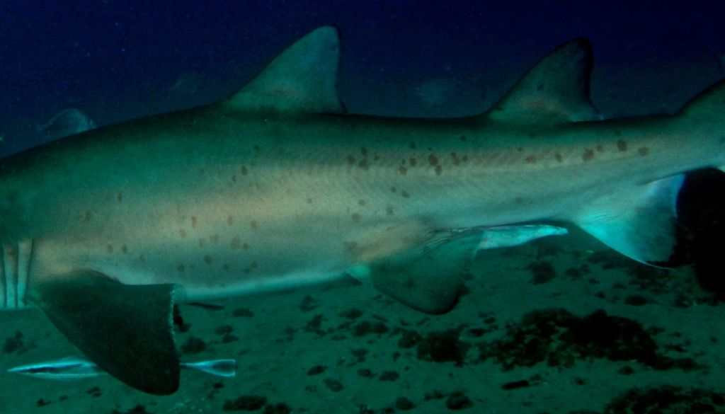 f8863a84-5b7c-41c1-92f3-17cf66754845