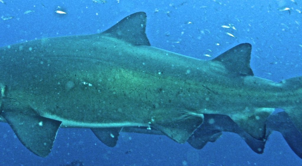 8d96e831-cfcd-45db-8457-91c8a11f681f