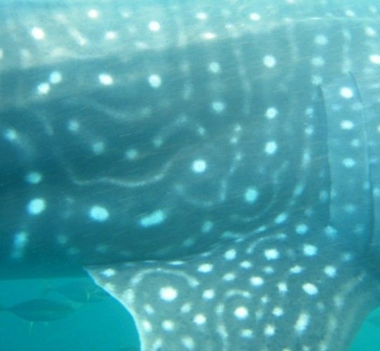 70c8cadb-5bb9-4ede-85ff-fbce1053bdbe