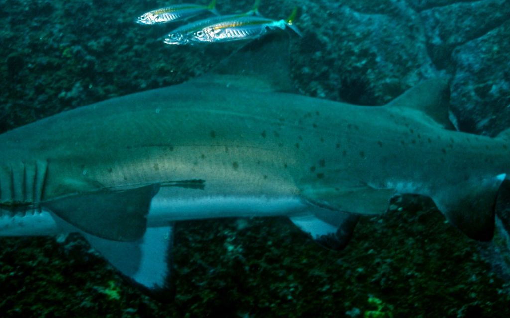 cb68a219-5a24-4b3a-908f-ebb2e1336dae