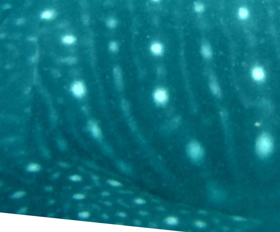 356834c0-b650-49e7-948e-ffcb83d53aa6