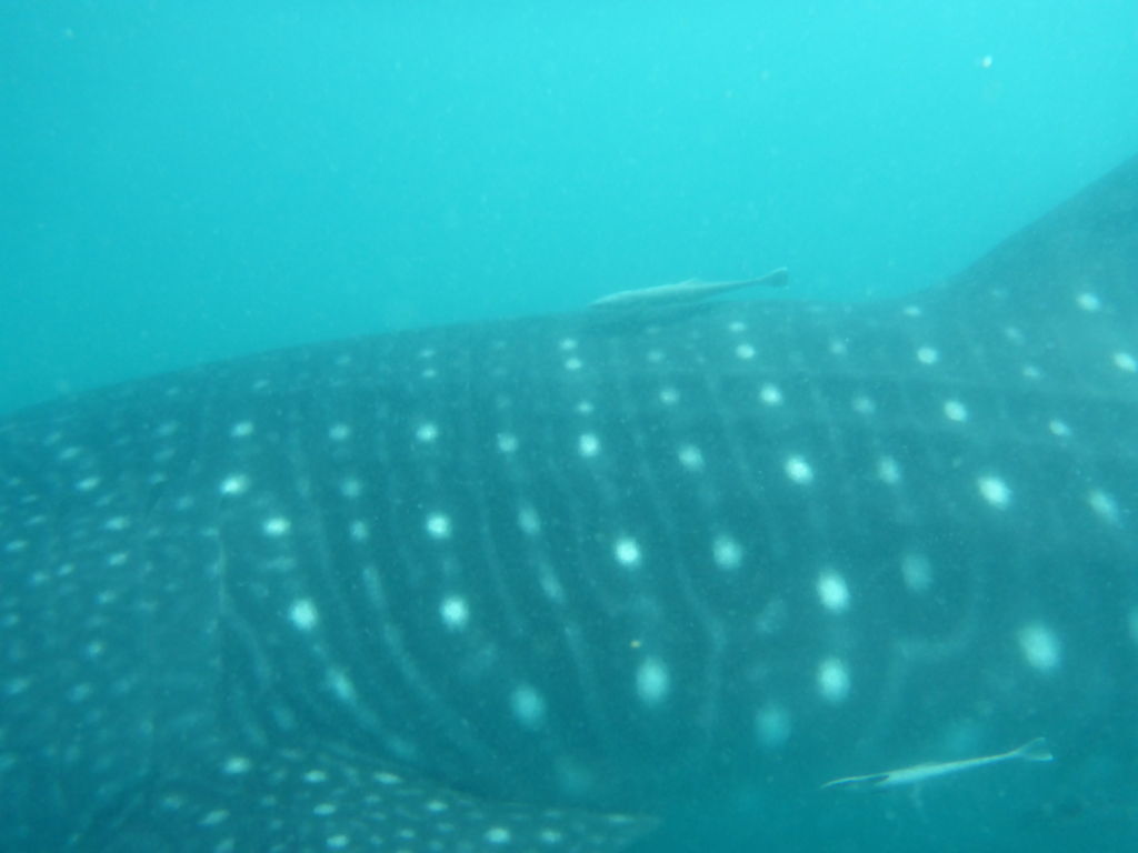 356834c0-b650-49e7-948e-ffcb83d53aa6