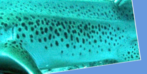 5f69cd08-188e-4505-bef4-f2a347a93e23