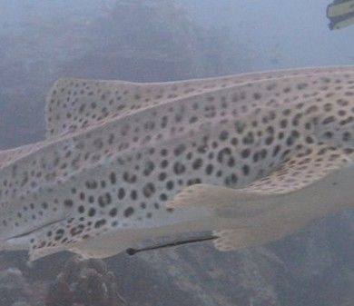 d0fabfcb-9987-48e1-897a-f8b2c4d28818