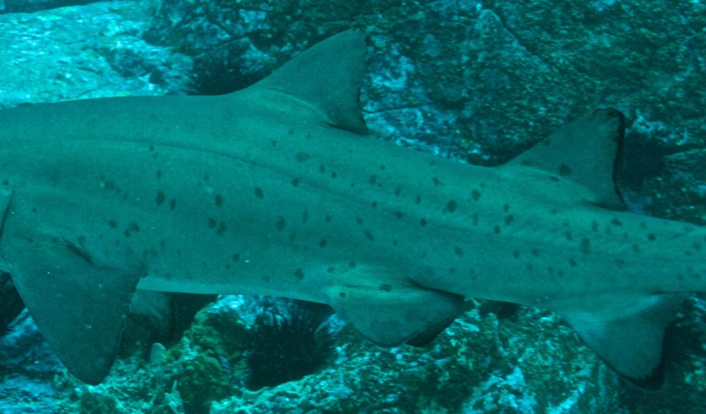 782cf3cf-d874-4bcb-867d-3ad8dec276e6