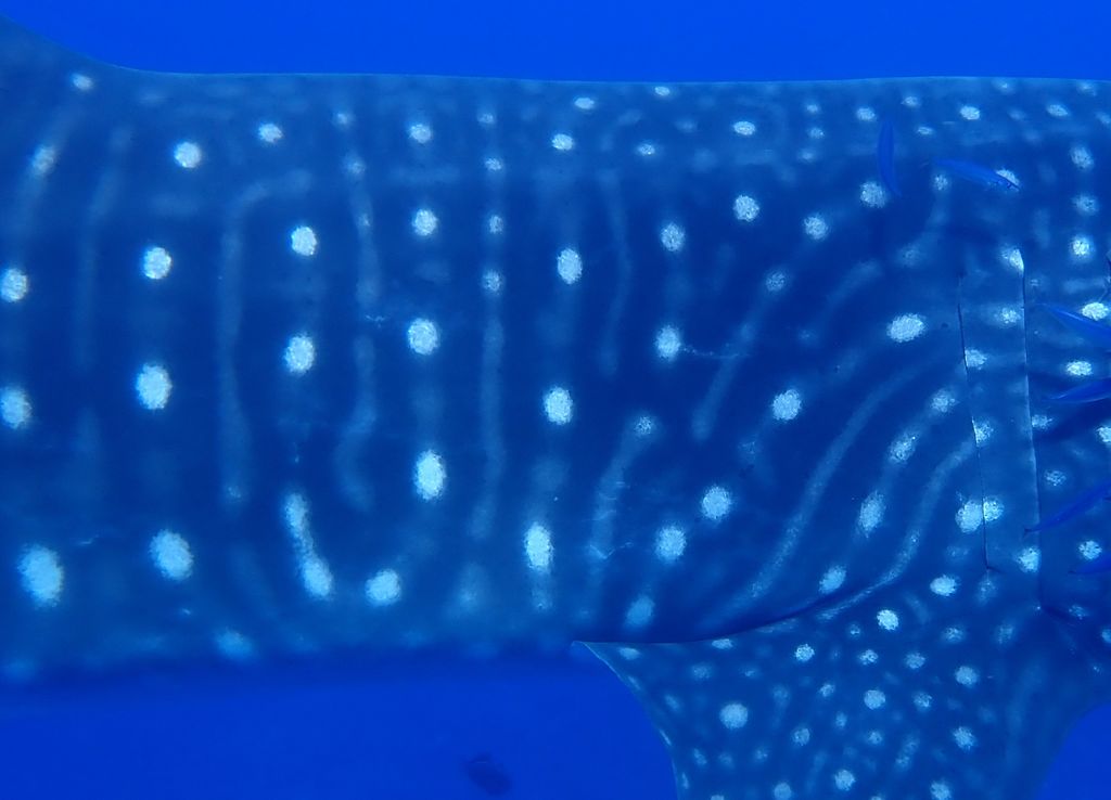 9481c412-97aa-44de-92e9-7a353337c084