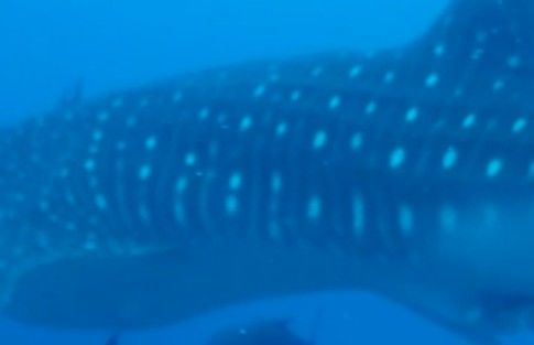 5ee3223d-22fb-45d9-81bd-69d823c55db3