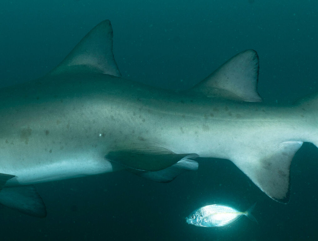 987eab07-223f-4ff9-81f3-8559e881afb1