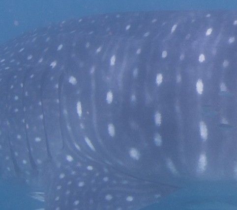 e5932468-115f-4c08-81db-b0b99d5ae235