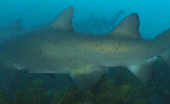 e6dd910f-264e-43b6-87f3-73196477e17f