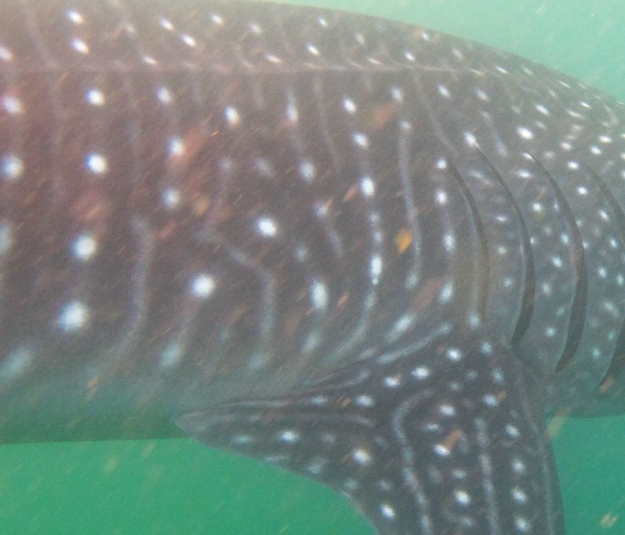 6a2960bd-0f58-4a5d-a08c-1753a4447acd